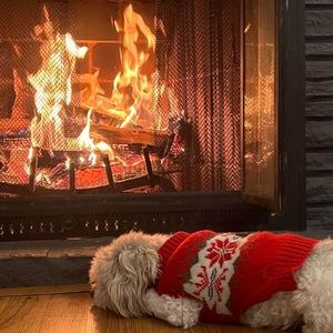 Meet your Posher, Yose